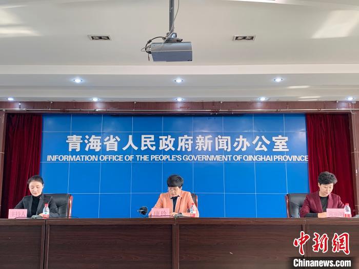 孙睿摄青海省统计局副局长康玲20日在青海省政府举办的新闻发布会上