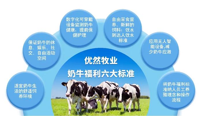 养健康牛产优质奶优然牧业荣获“动物福利科学促进奖”