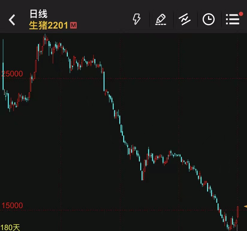 生猪期货2021年1月8日上市以来2201主合约走势图