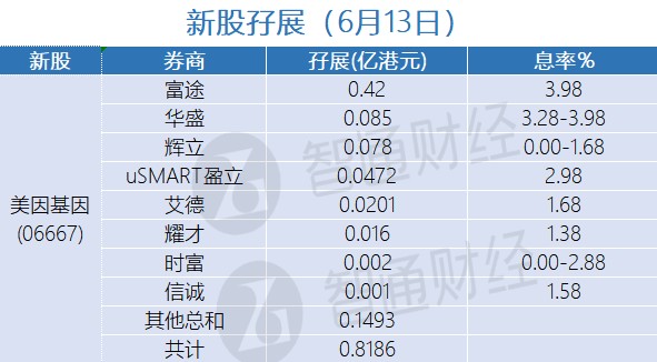 新股孖展统计 6月13日 _ 东方财富网