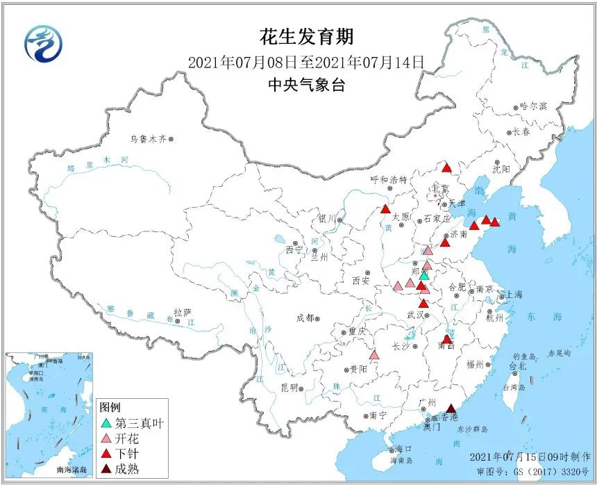 花生发育阶段(单位:无) 数据来源:国家统计局国信期货   :分地区