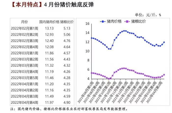 猪企们的扭亏决战：新希望明年净利润或超40亿元