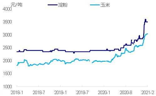 图14 玉米淀粉价格与玉米价格同步上涨