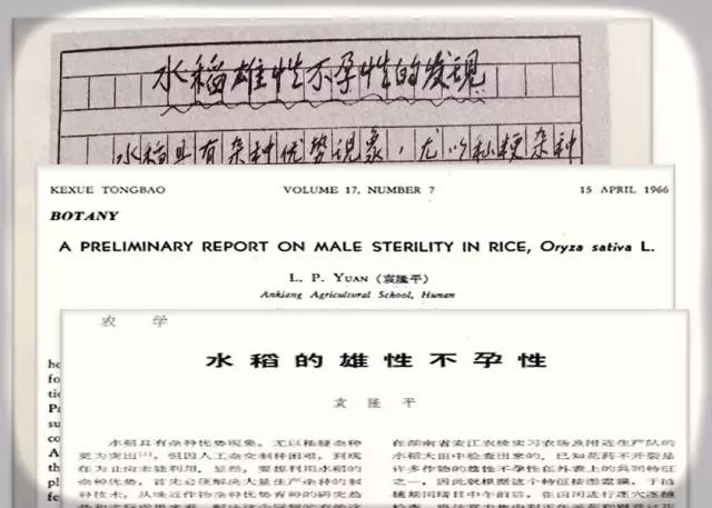 国家科学技术委员会九局的熊衍衡读到袁隆平的论文后,推荐给了九局