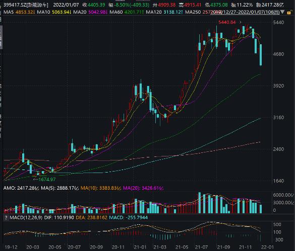 新能源汽车去年大涨今年开年大幅回撤基金经理争议泡沫