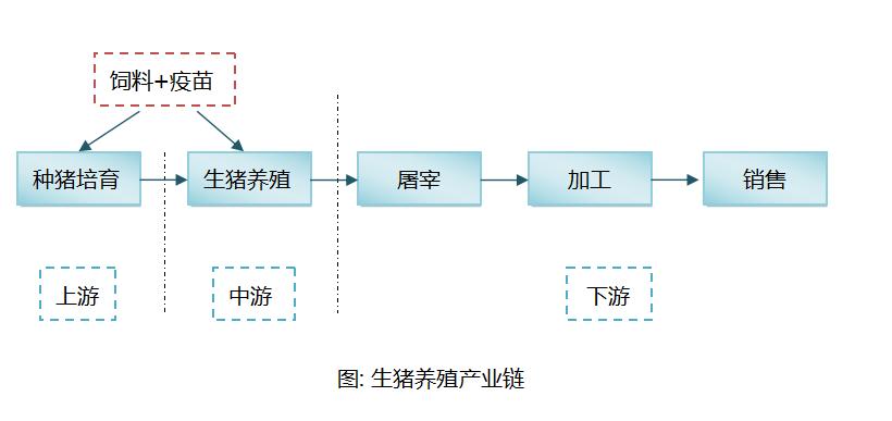 财经评论吧 正文 除了生猪养殖链的上下游外,生猪产业链在种猪培育和