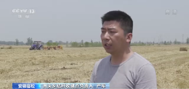 安徽省安庆市宿松县27万多亩小麦陆续进入成熟收获期田间一片繁忙