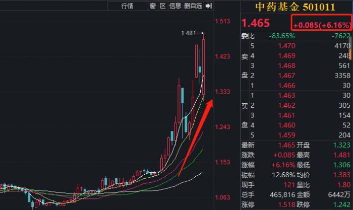 中药个股再掀涨停潮中药基金涨超6冯柳增持2022年迎战略配置机遇