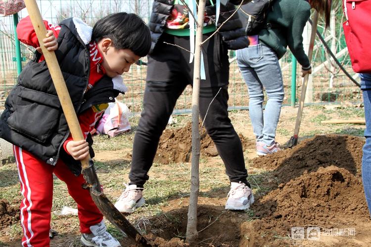 第43个植树节 济南幼儿园小朋友亲手种树见证生命的萌发