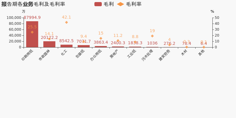 岳阳林纸上市公司信息