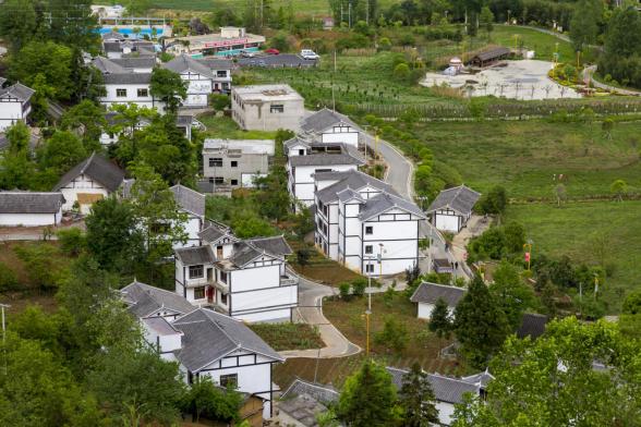 待到山花烂漫迎来笑逐颜开看大方县核桃乡因地制产引乡村变迁