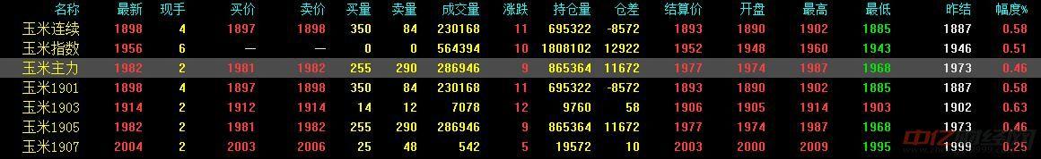 11月19日今日最新玉米价格行情分析 玉米价格现在多少钱一斤