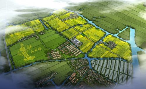 嘉善天凝全域土地综合整治让乡村更田园人民更幸福