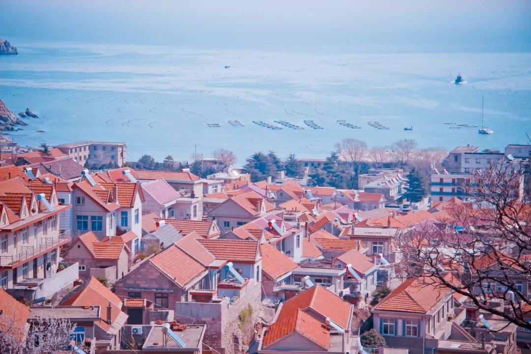 外国人144小时过境免签,中国这5座小城又要火