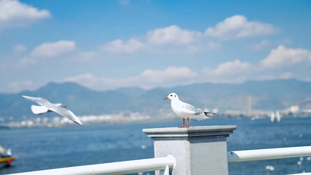 外国人144小时过境免签,中国这5座小城又要火