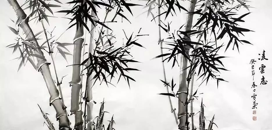 成功三大定律:荷花定律、金蝉定律、竹子定律