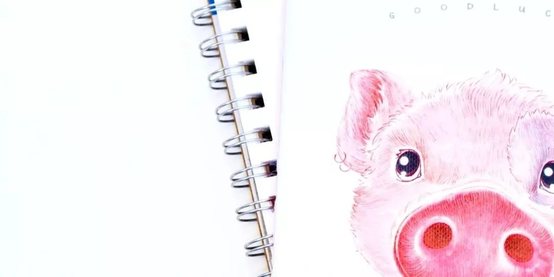 成语什么浇猪_猪羊变色成语图片(3)