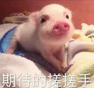 今年春节广告被科技圈承包了