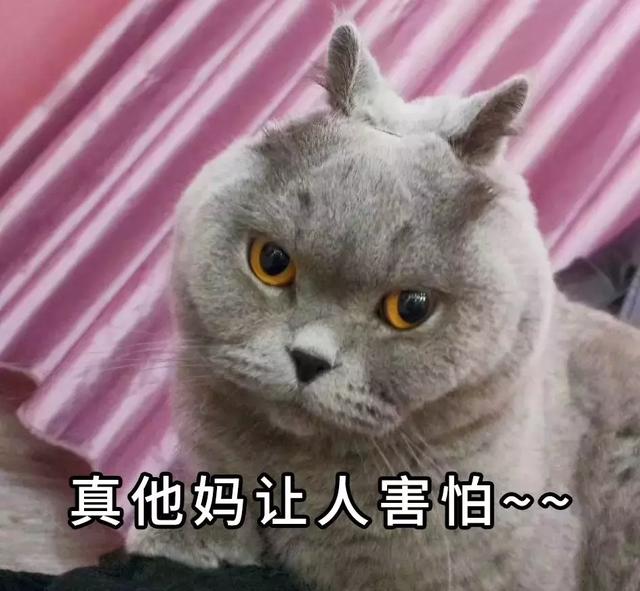 2020年杭州GDP超武汉_2020武汉加油手抄报(3)