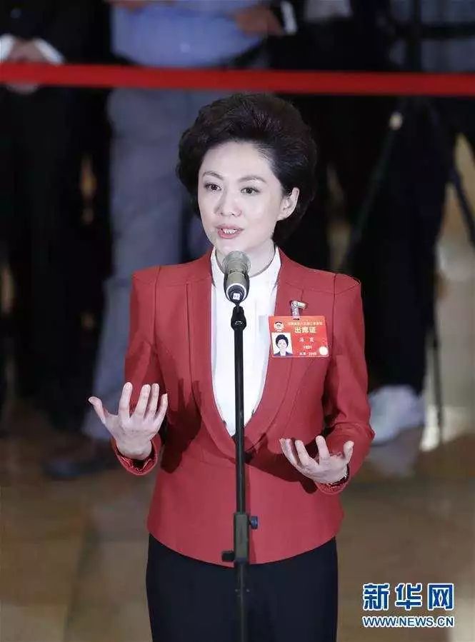 首场委员通道你关心的问题有回应了