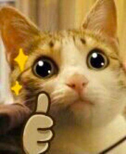 科创板基金什么时候发行?普通投资者如何参与