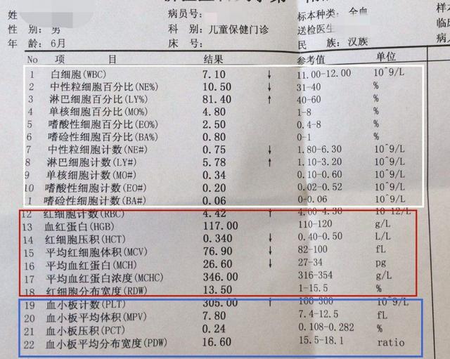 数 白血球