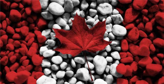 还有几个国家钟情波音737MAX?美国有信心,加