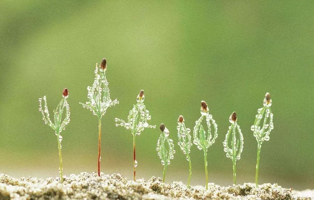 伟大的科创板与伟大的价值投资者