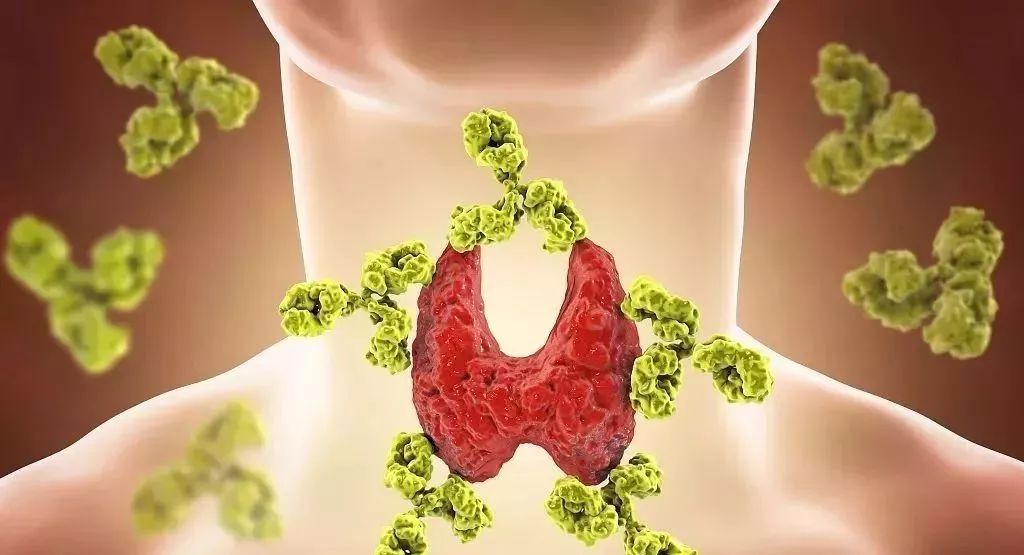 乙肝、脂肪肝、高血压、糖尿病、甲状腺、乳腺