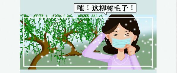 昆虫或者鸟类帮忙其传播,而杨絮柳絮在春天的微微春风下却能漫天飞舞