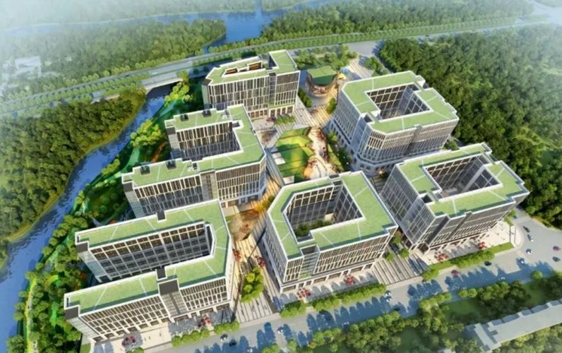 强强联合 泰禾集团与世茂股份开展业务合作