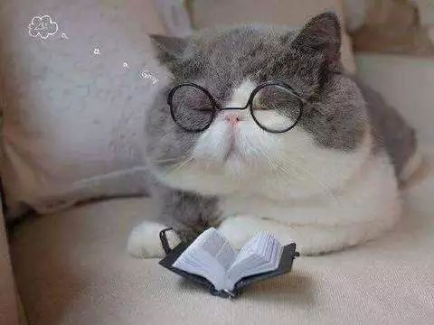 科创板第一批公司名单来了