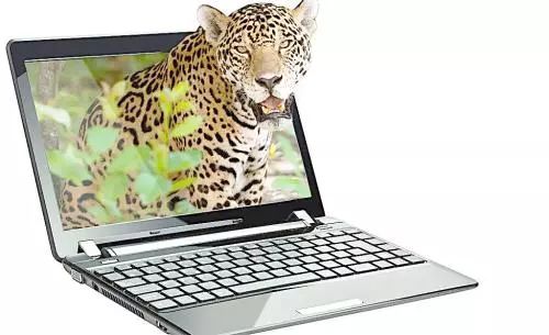 什么是顺周期,逆周期行业?