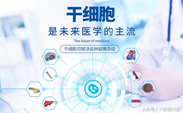 干细胞临床应用