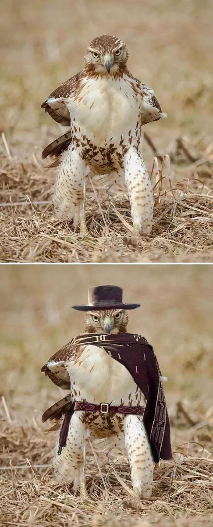 说真的千万不要让沙雕网友帮你p图哈哈哈哈哈哈哈