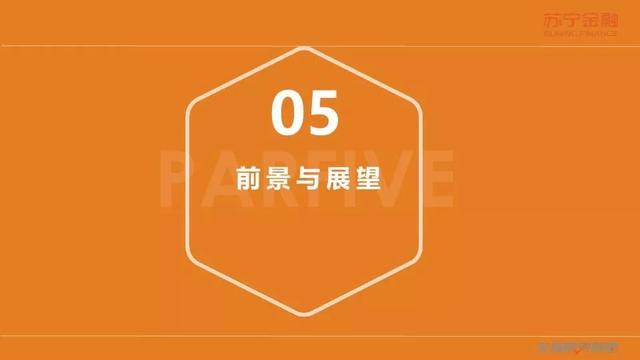 蘇寧金融研究院《2019互聯(lián)網(wǎng)金融三季報》（全文版）