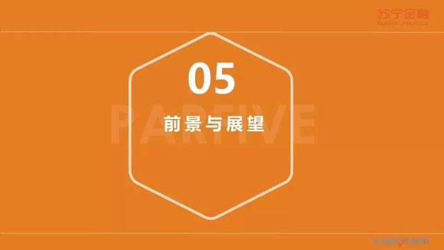 苏宁金融研究院《2019互联网金融三季报》（全文版）