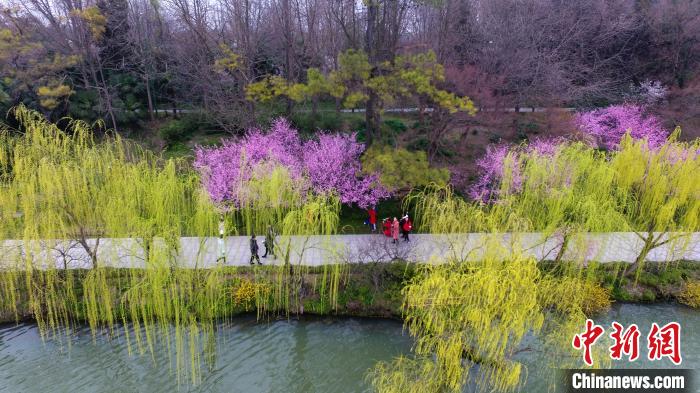 扬州瘦西湖桃红柳绿，游客前来踏春赏景。 