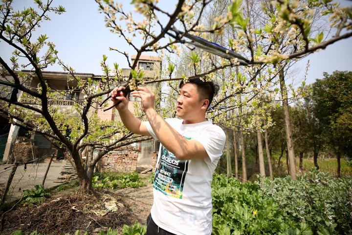 一株水草卖600块 桐乡小伙的鱼缸很梦幻 东方财富网