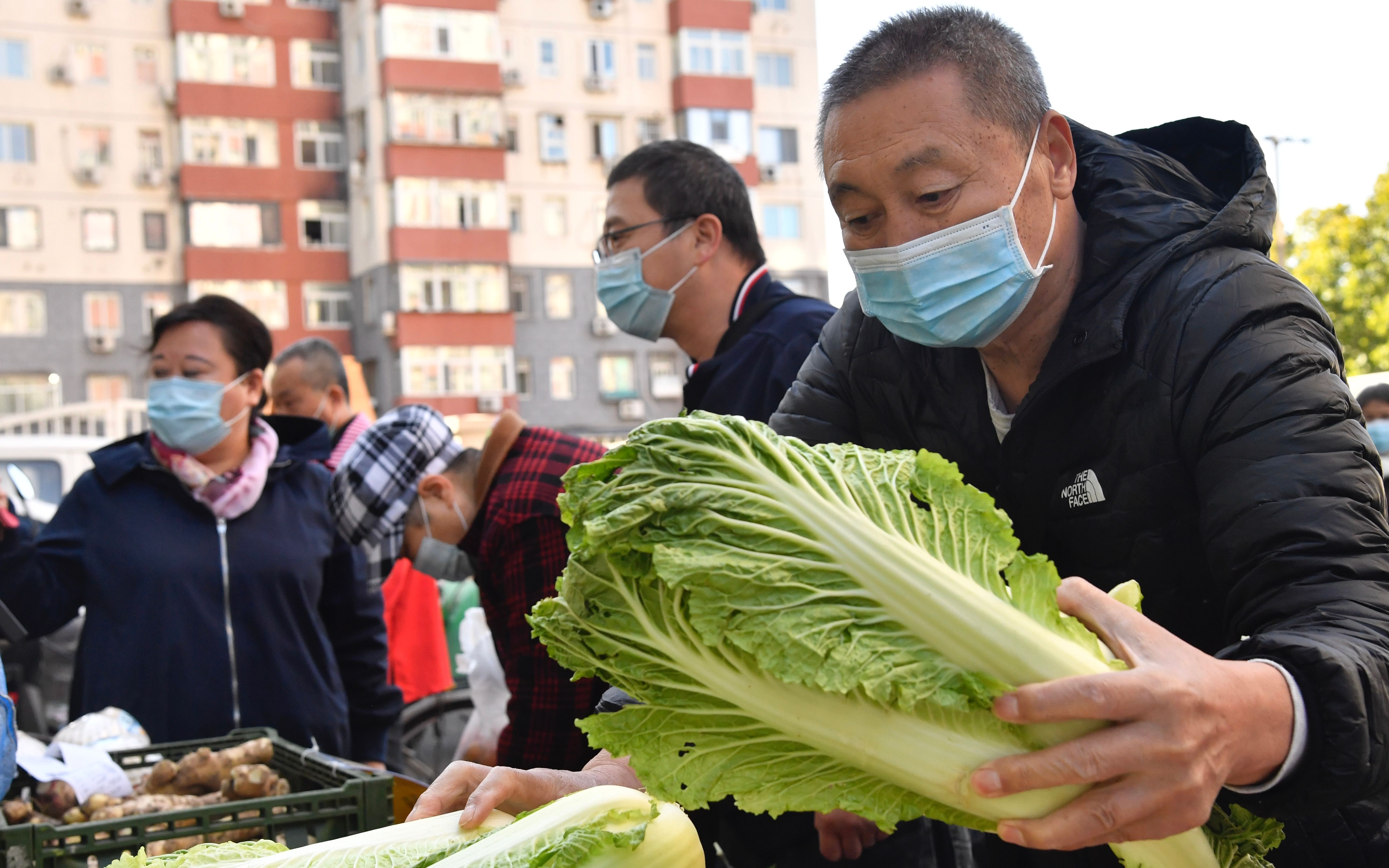 河北200万斤蔬菜直供北京 菜商建议打通白菜乡村通道|大白菜|每斤|北京_新浪新闻