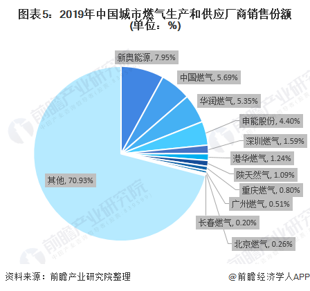 图表5:2019年中国城市燃气生产和供应厂商销售份额(单位：%)