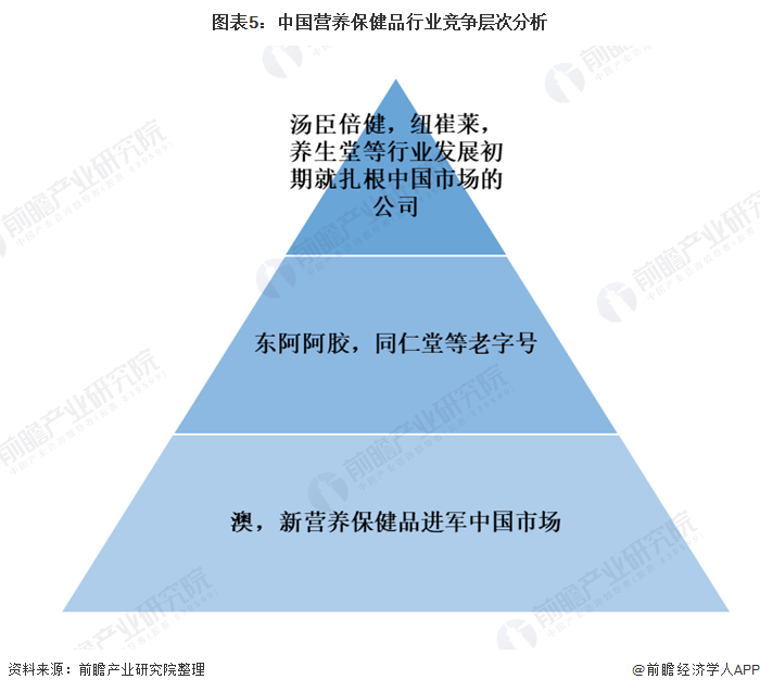 图表5:中国营养保健品行业竞争层次分析