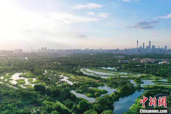 广州市内的湿地公园(资料图)广州市文化广电旅游局供图 