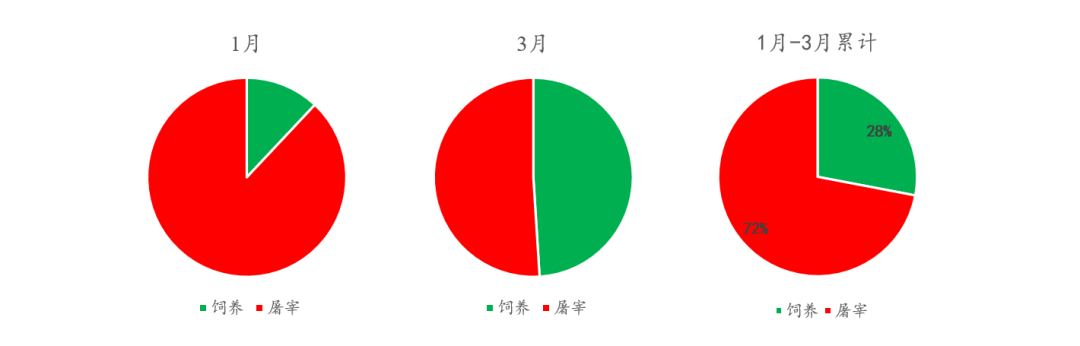 中粮视点：生猪跟踪供需与成本支撑的偏差