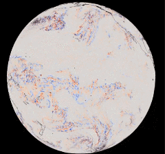 汤加火山爆发后的大气波动，GOES-17卫星红外辐射图，图片来自于Mathew 