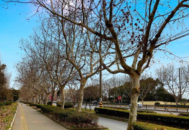 房地产2021之土地篇