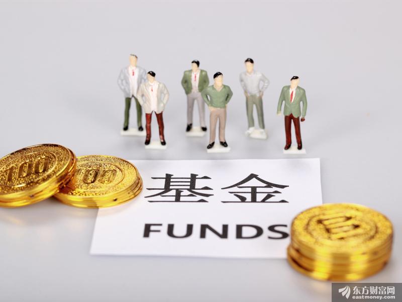 首批基金年报出炉！