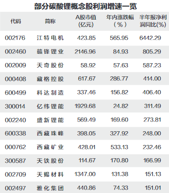 部分碳酸鋰概念股半年報(bào)凈利潤(rùn)。png