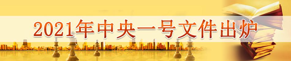 2021年中央一号文件出炉