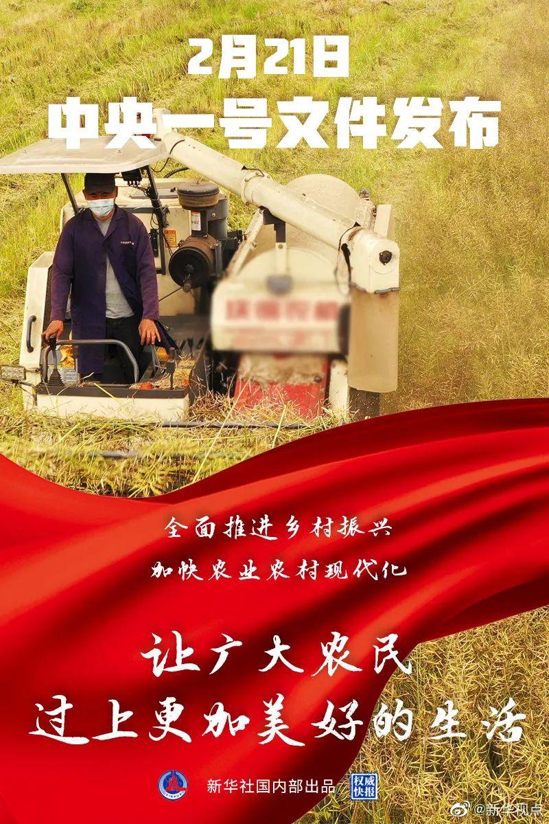 重!2021年,中央一号文件对宅基地、土地承包、农民增收等问题进行了重要论述